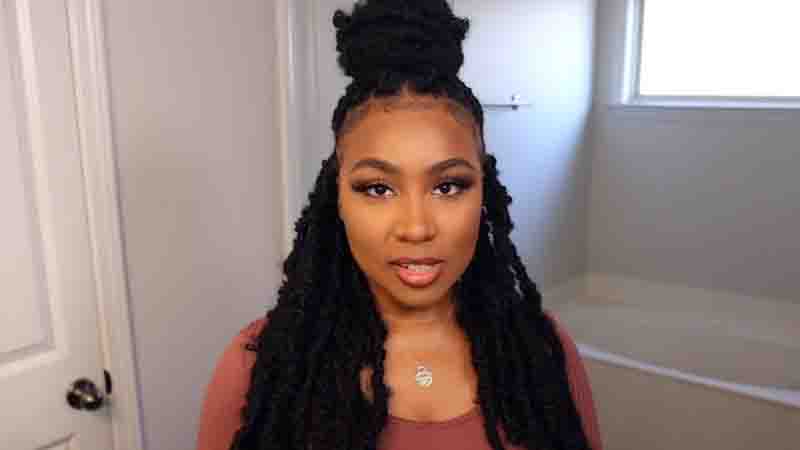 Butterfly Faux Locs Style
