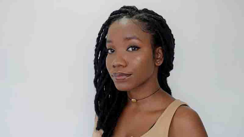 Faux Locs with Marley Hair